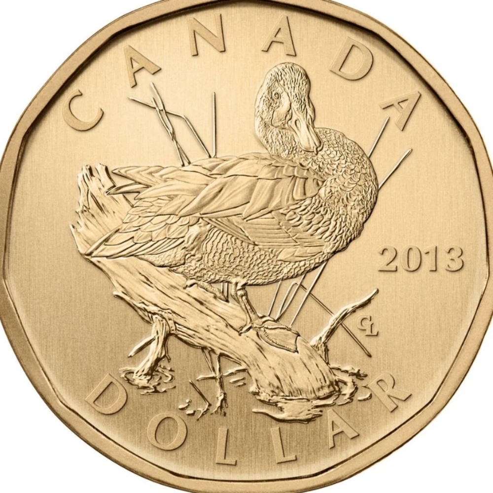 2013 RCM Specimen Set